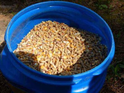 5 Homestead Uses for the Coffee Can Image